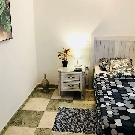 Apartamento Cactus