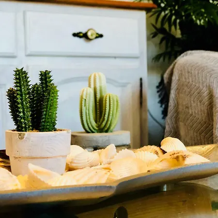 Διαμέρισμα Cactus