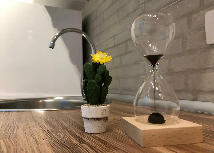 Cactus * كوراليهو