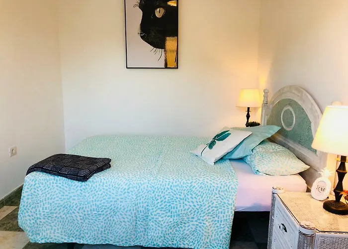 Cactus * كوراليهو