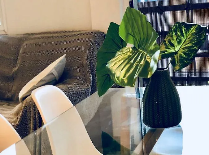 Cactus * كوراليهو