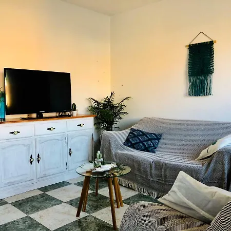 Cactus Apartment