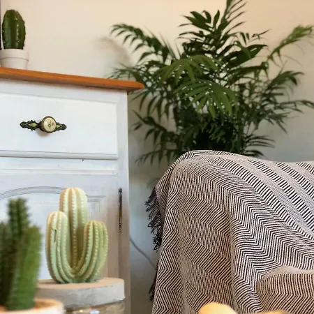 Cactus Apartment *