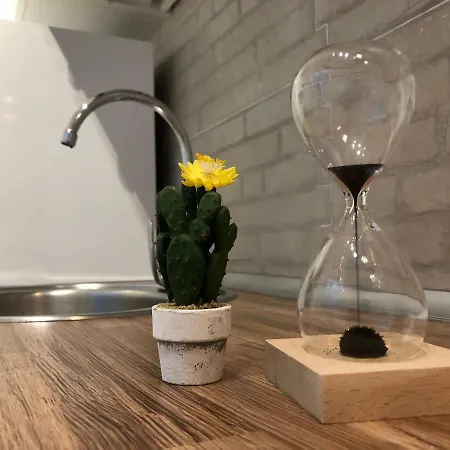 Cactus * קורלחו